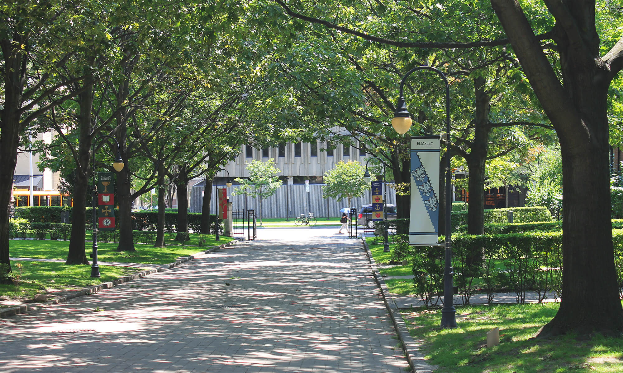 St Michaels Campus - The image depicts a tree lined street with sun coming through the canopy of trees.