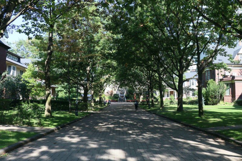 Image depicts Elmsley Place on a sunny summer day, with sunlight coming down through the trees. 