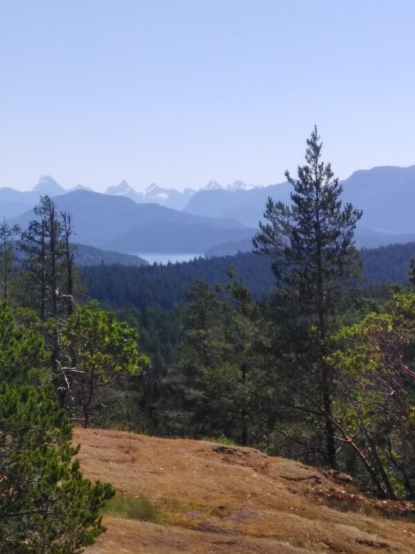 A view of a forested valley extending into the distance, with a lake and mountains at the far end.