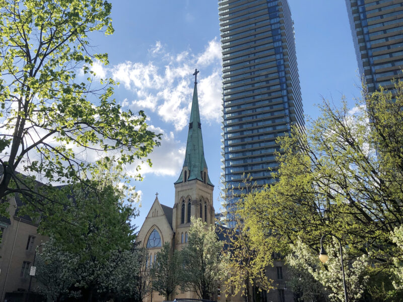 Photograph of St. Basil's Church steeple between trees