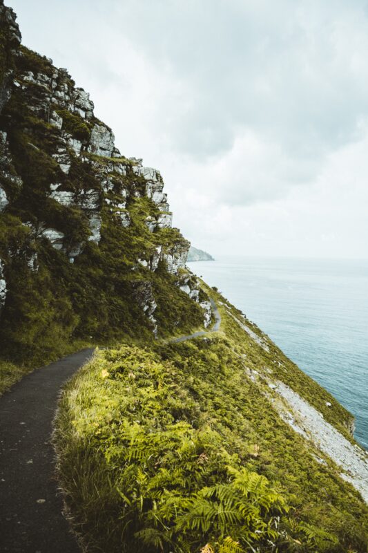A path winds along the side of a coastal cliff 