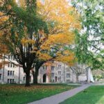 The quad on the St. Michael's campus with trees showing fall colours
