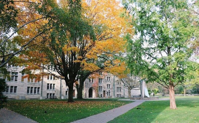 The quad on the St. Michael's campus with trees showing fall colours