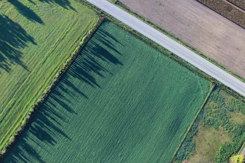 A bird's-eye view of farm plots 