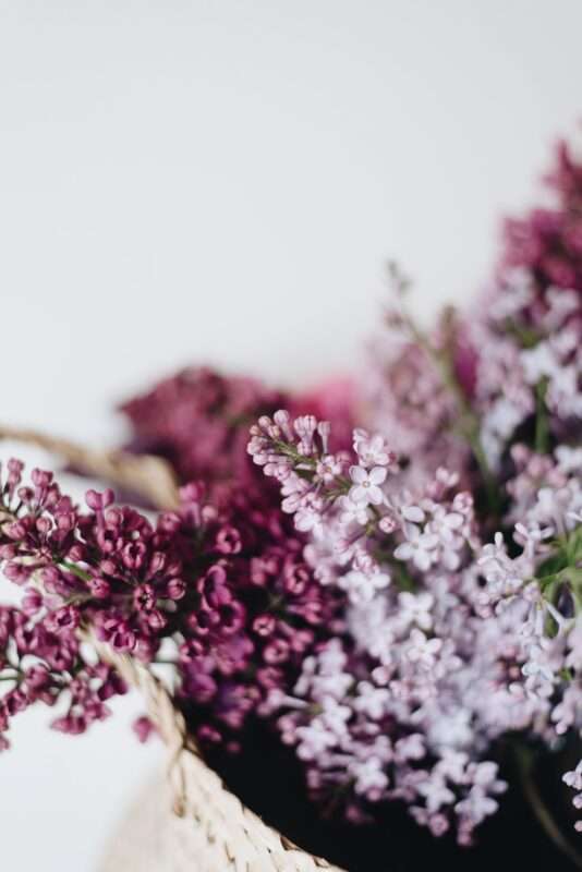 Photograph of lilacs in a basket