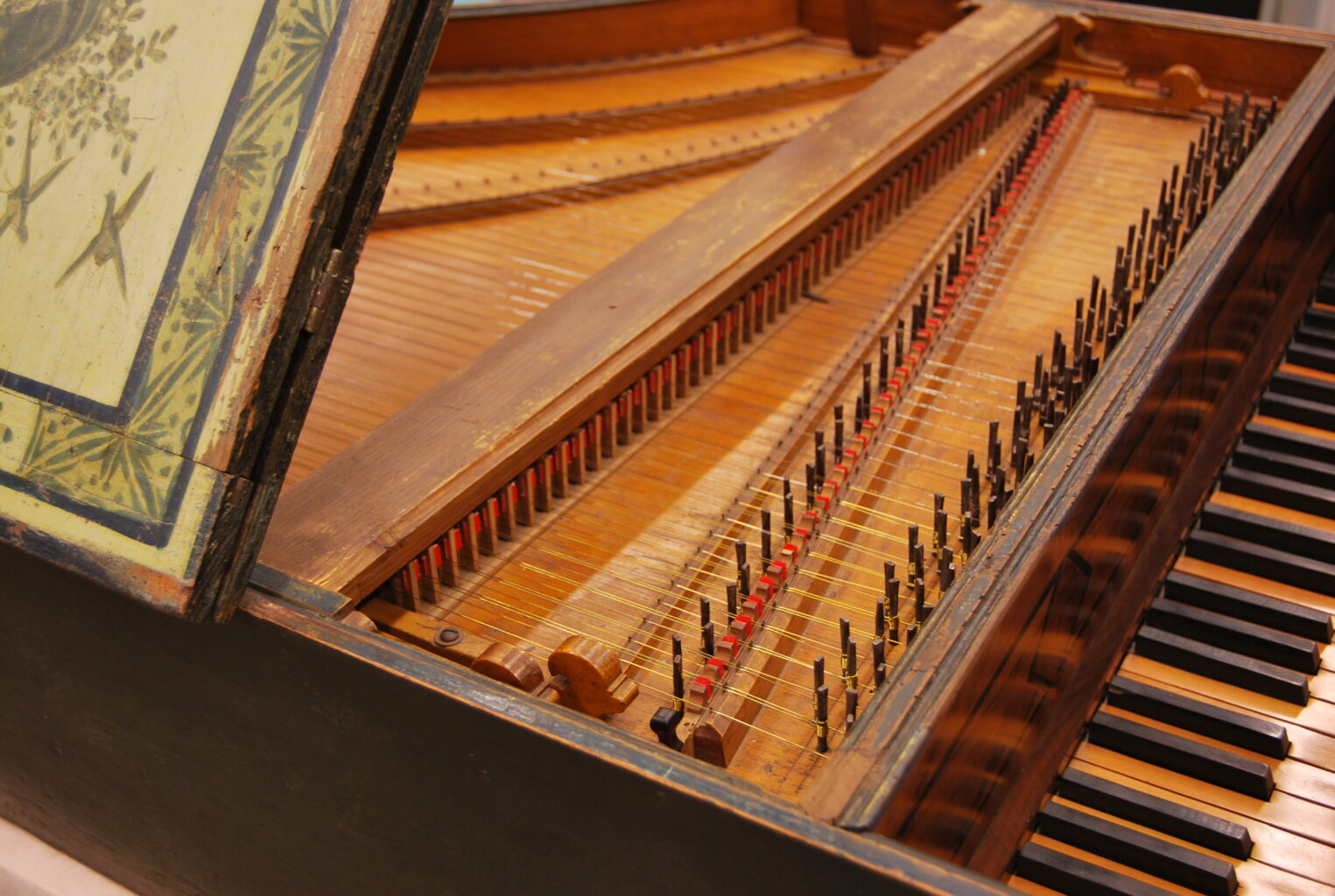 Detail image of harpsichord keys and strings