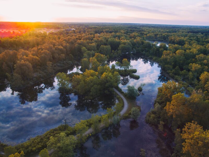 An oxbow river winding through a forest in Michigan