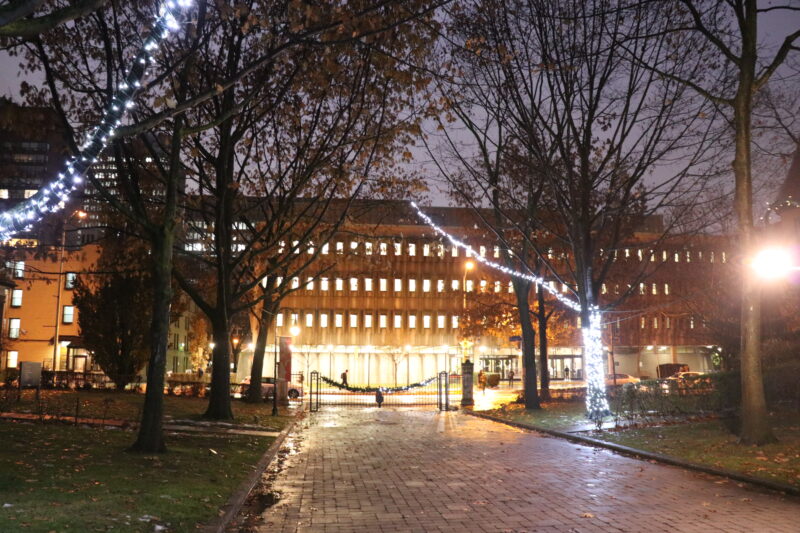 Holiday lights on tree branches overhang Elmsley Place with the Kelly Library illuminated in the background 