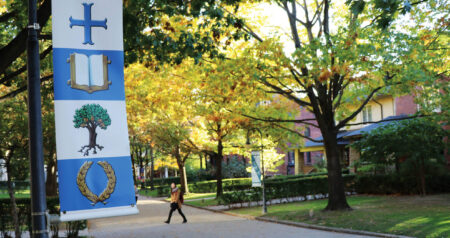 St. Michael's Campus: View from Brennan Hall looking south on Elmsley Lane