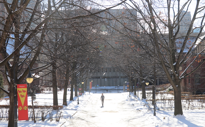 A person walks up Elmsley Lane on a bright winter day