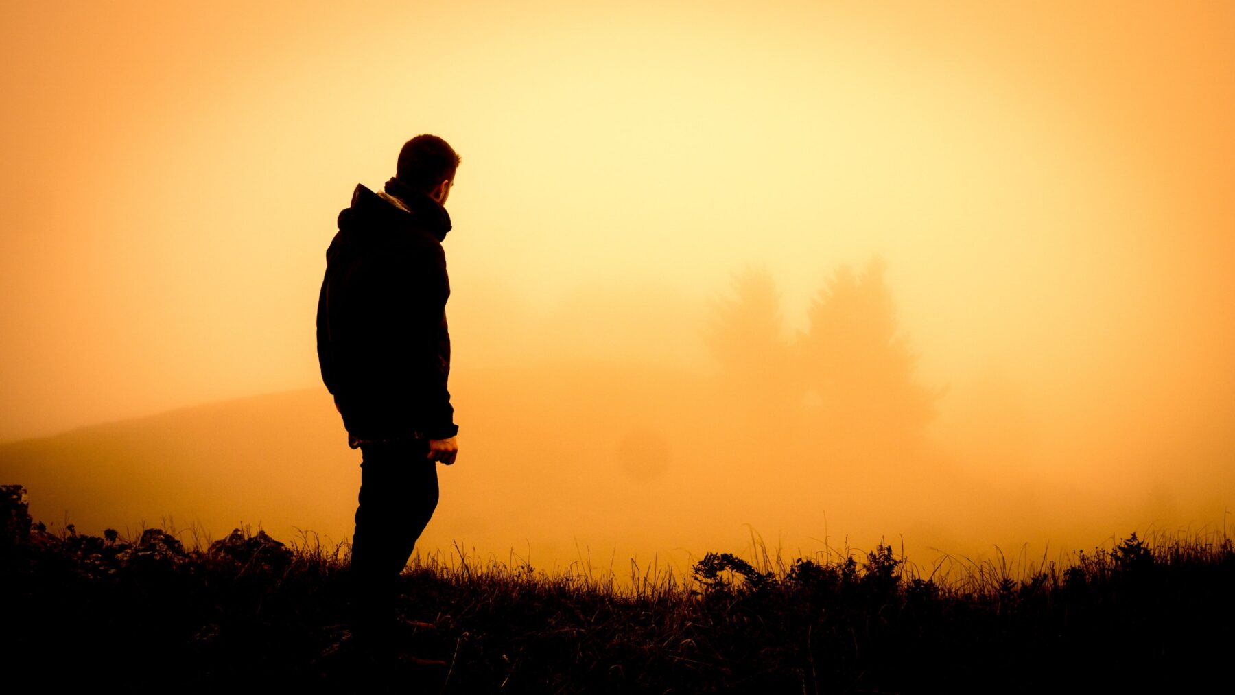 Photograph of a young man standing on a hill looking out on a misty sunrise