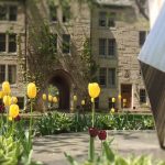 Tulips encircling the St. Michael's statue in the quad on the St. Michael's campus