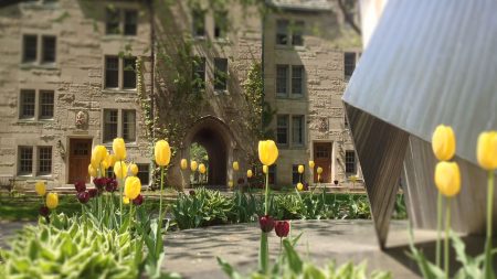 Rows of tulips surrounding the St. Michael statue on the quad at the University of St. Michael's College 