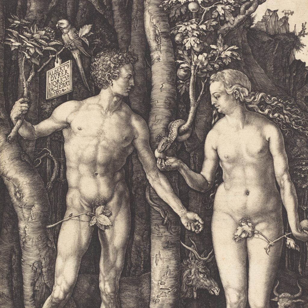 Albrecht Dürer, Adam and Eve, 1504, NGA Albrecht Dürer, Adam and Eve, 1504, NGA