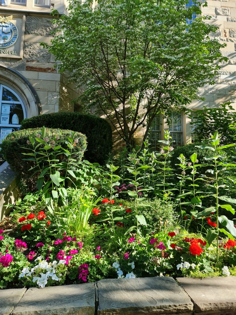 Plants of various kinds in a small garden in front of Brennan Hall 