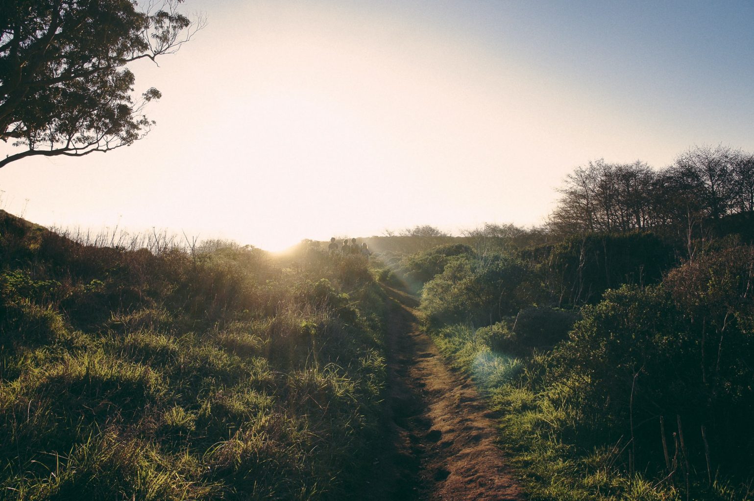 Photograph of a grassy hill with a dirt path leading up the slope. The sun is peeking out over the top of the hill and sunbeams cascade throughout the center of the image. There are four people silhouetted in the center of the image.