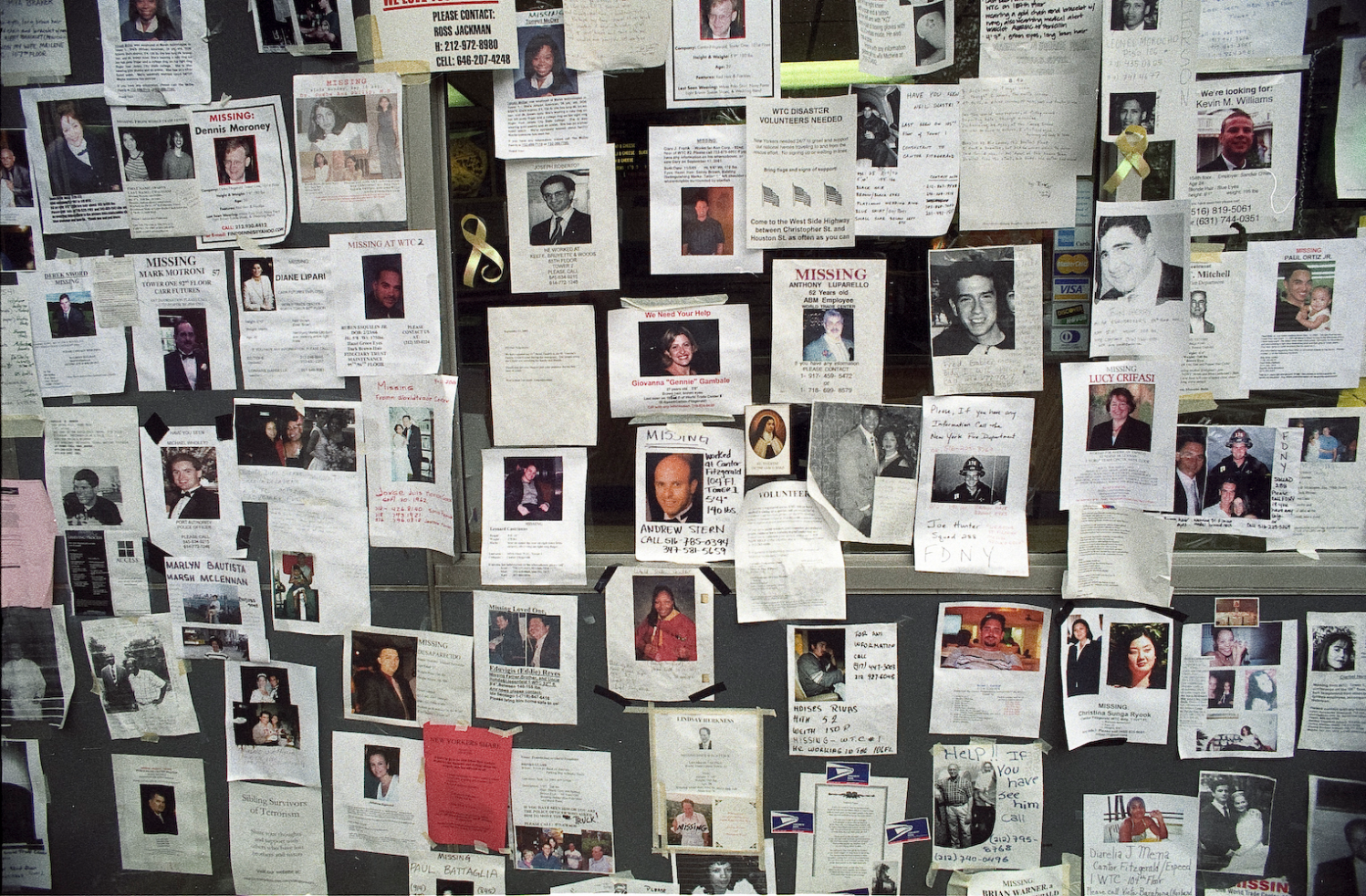 Photograph of a wall covered in Missing posters.