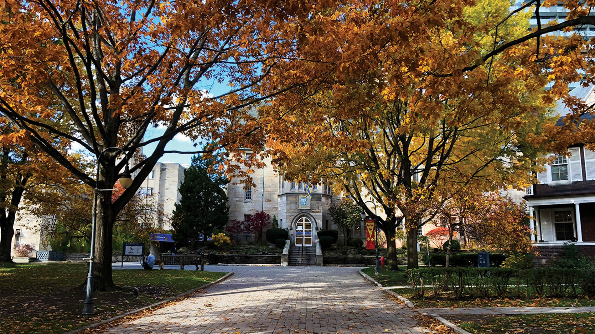 Photograph of Elmsley Place in the fall with orange and yellow leaves on the trees and Brennan Hall in the background