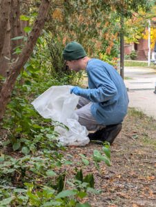 Student picking up garbage near Kelly Library.